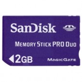 55227 MS PRO DUO 2GB SANDISK HAMA